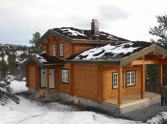 Log Cabin 04